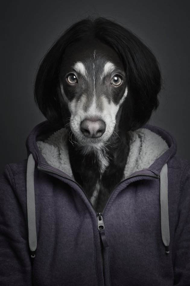 'Underdogs' Features Amazing DogHuman Hybrid Portraits NYC Pooch Blog